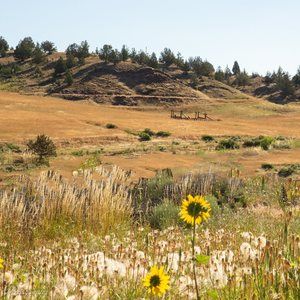 Meet your Posher, Melody